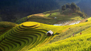 landscape