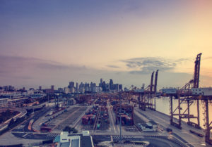 sector reform port