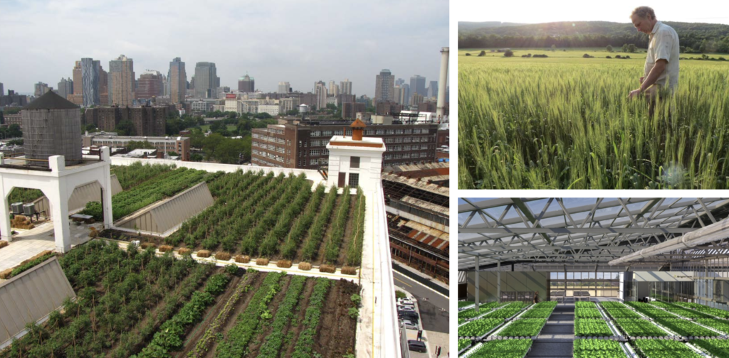 Led a research project and corresponding working group on regenerative food system opportunities for New York City